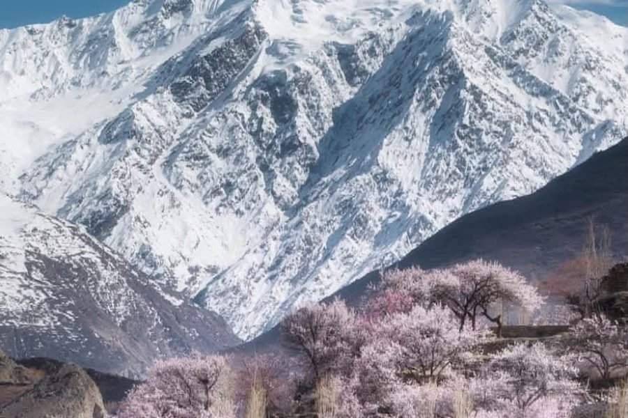 K2 Base Camp Tour