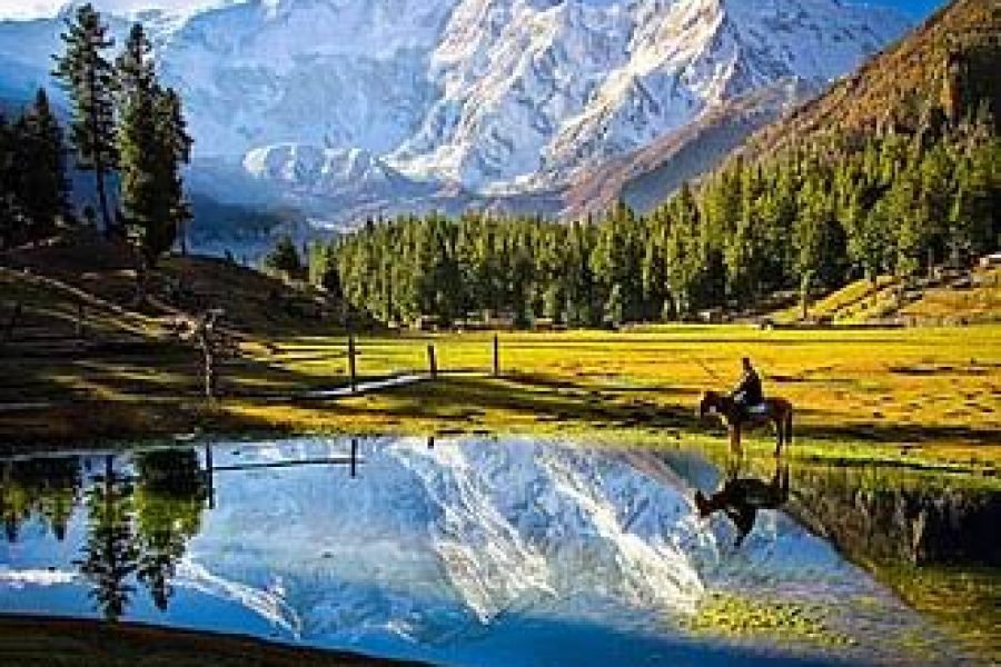 Fairy Meadows
