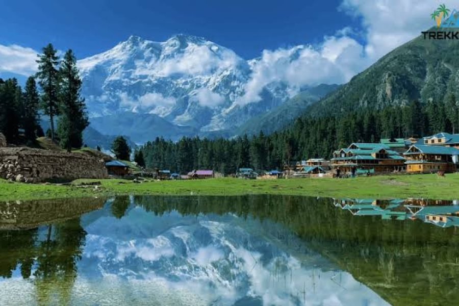 Fairy Meadows